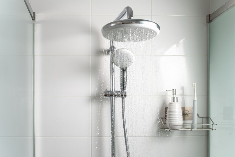 Rain Showerhead in a Contemporary Setting